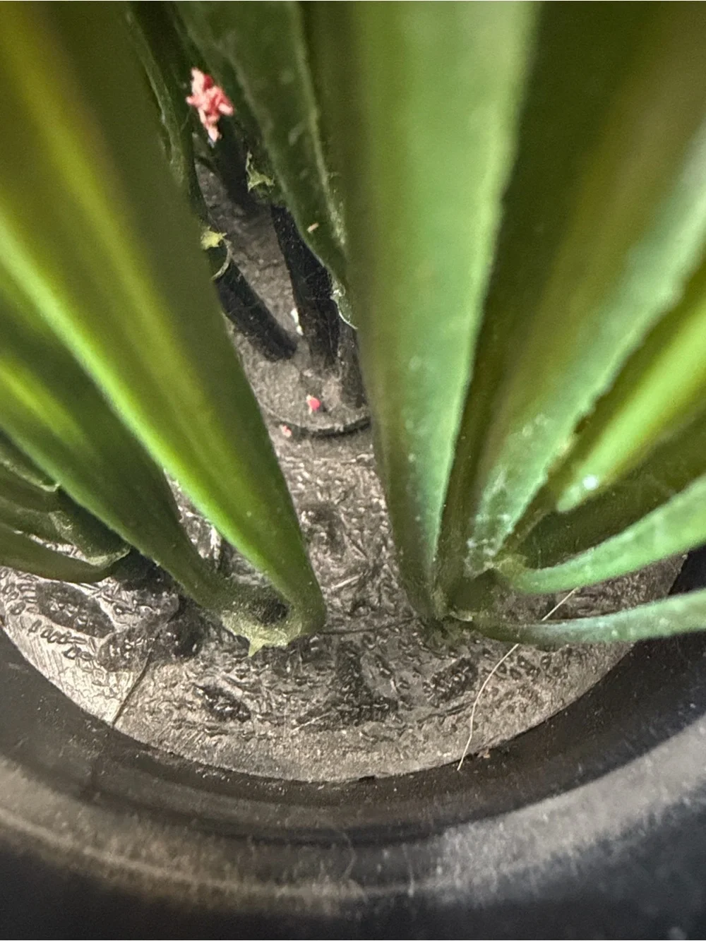 IKEA Fejka Artificial potted plant, indoor/outdoor grass